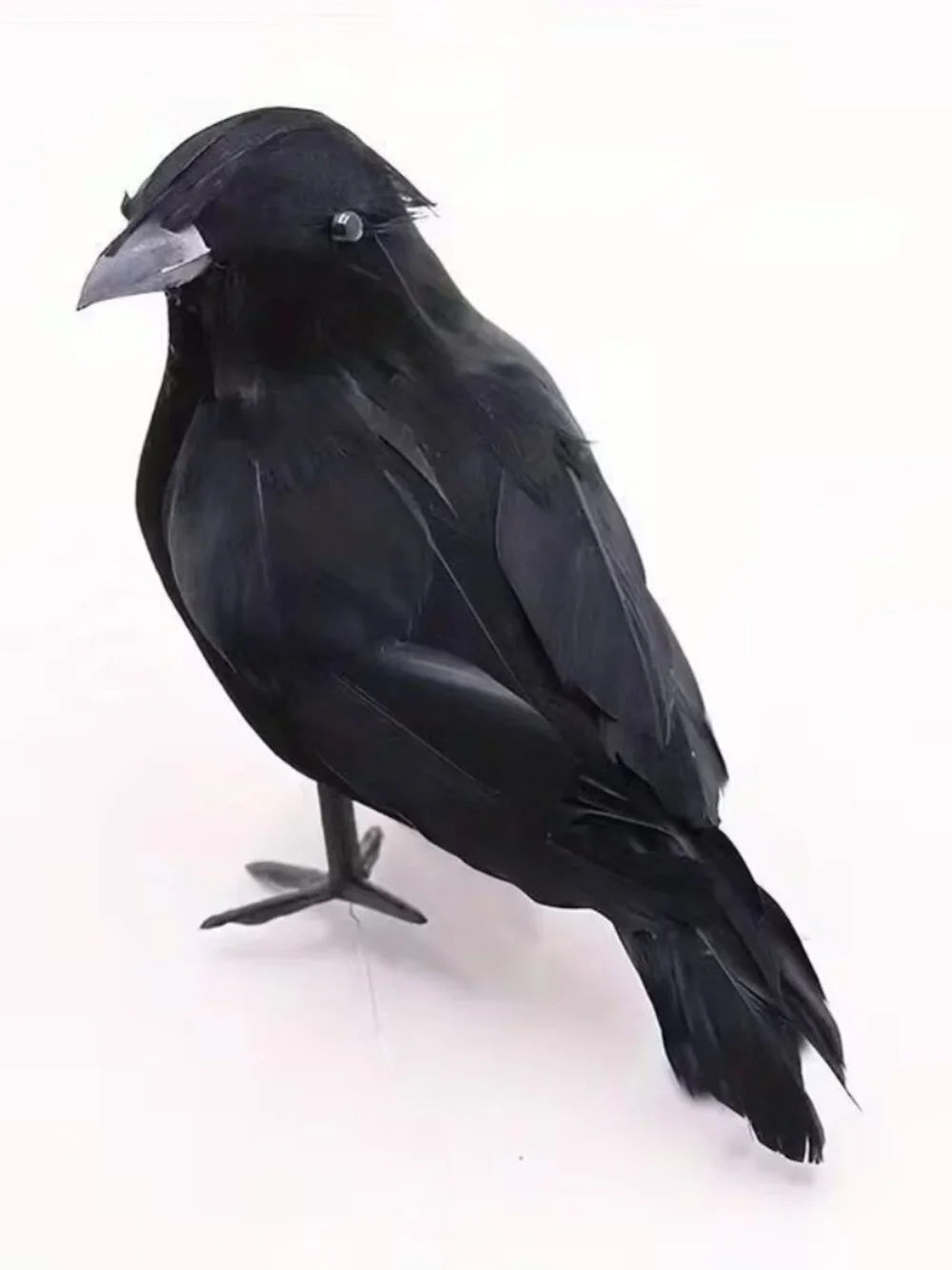 Halloween Realistic Crow Lifelike Black Bird Decor w Glossy Feather Texture